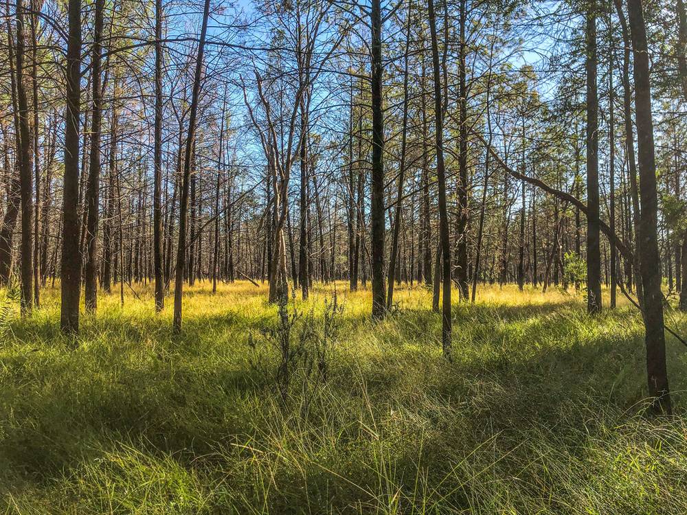 0  Matthews Road, DRILLHAM, QLD 4424