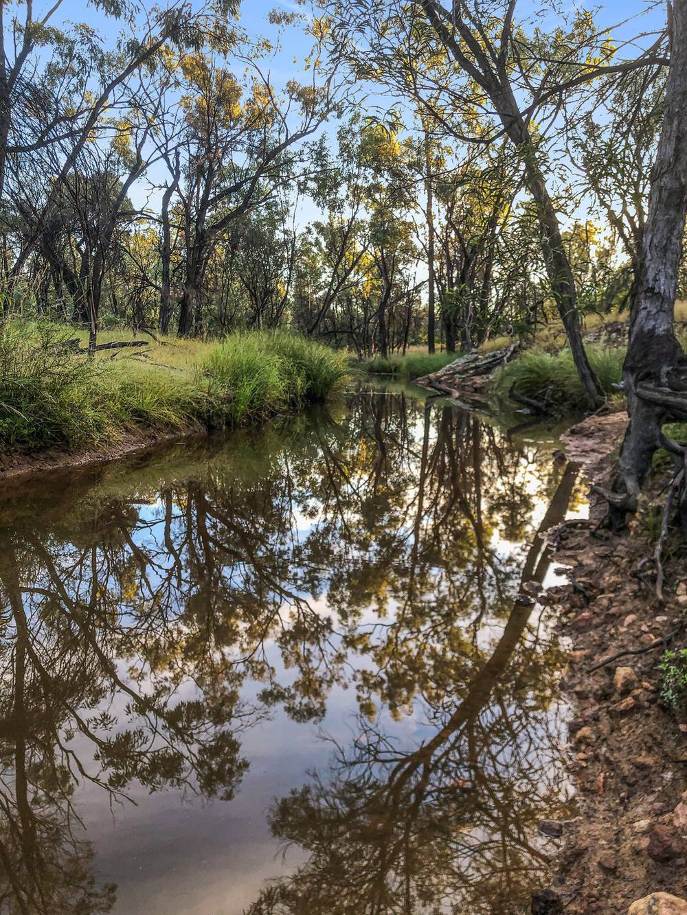 0  Matthews Road, DRILLHAM, QLD 4424
