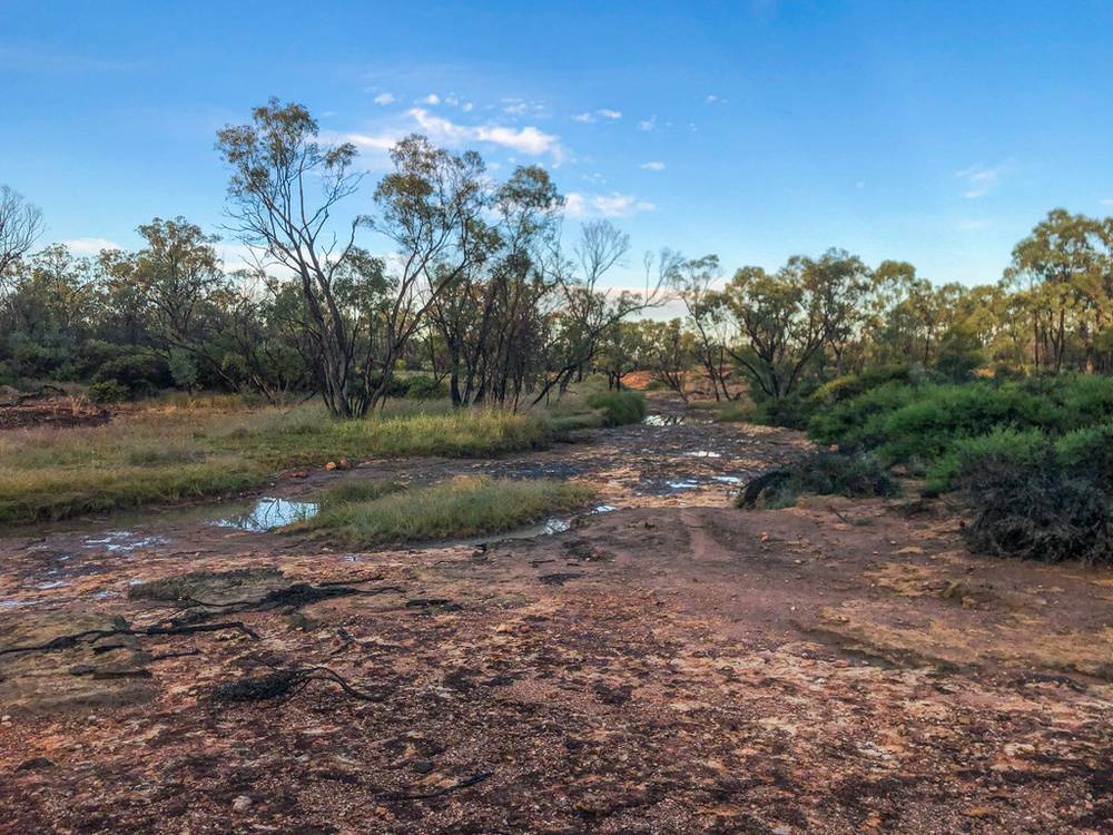 0  Matthews Road, DRILLHAM, QLD 4424