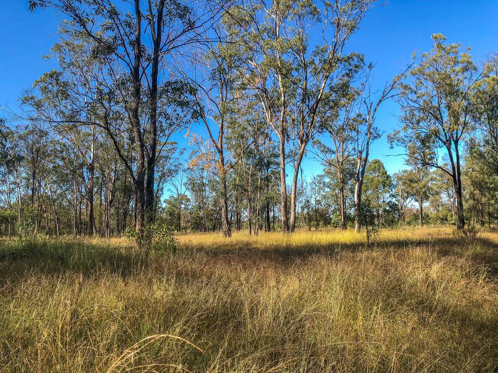0  Matthews Road, DRILLHAM, QLD 4424