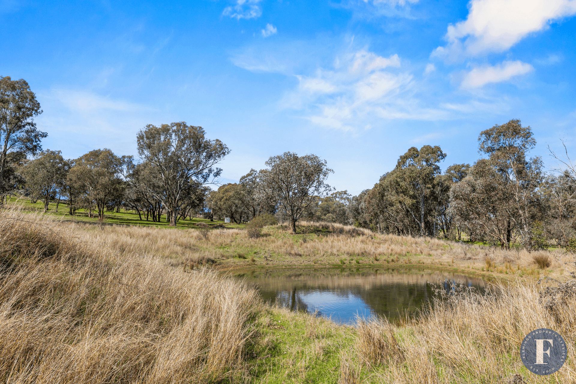 106 Forbes Lane, Young, NSW 2594