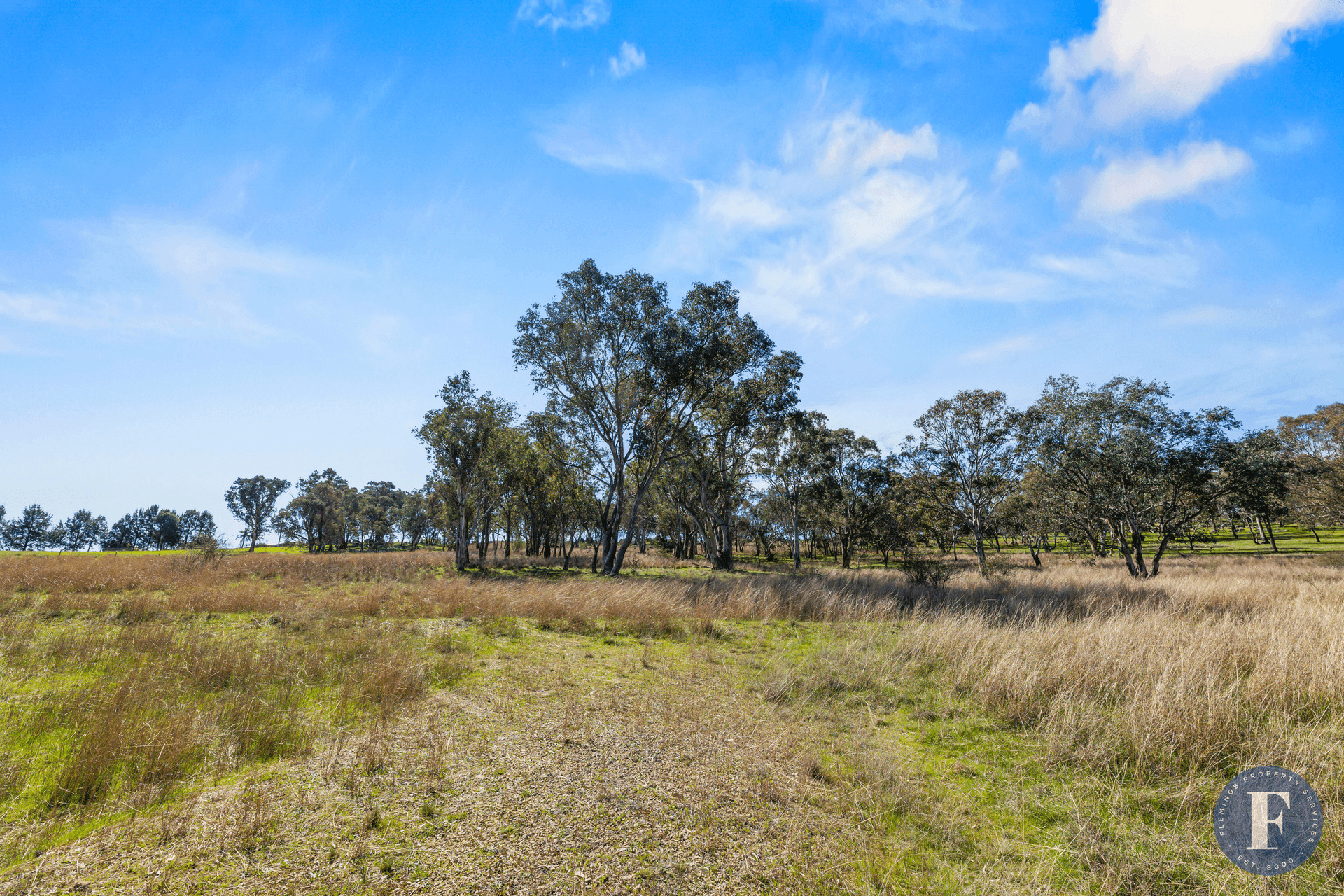 106 Forbes Lane, Young, NSW 2594