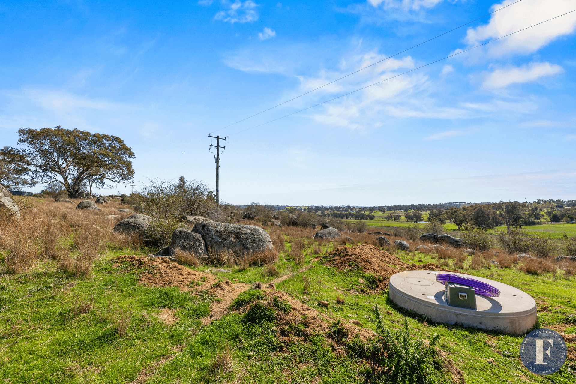 106 Forbes Lane, Young, NSW 2594