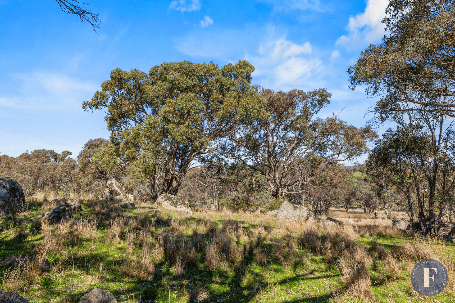 106 Forbes Lane, Young, NSW 2594