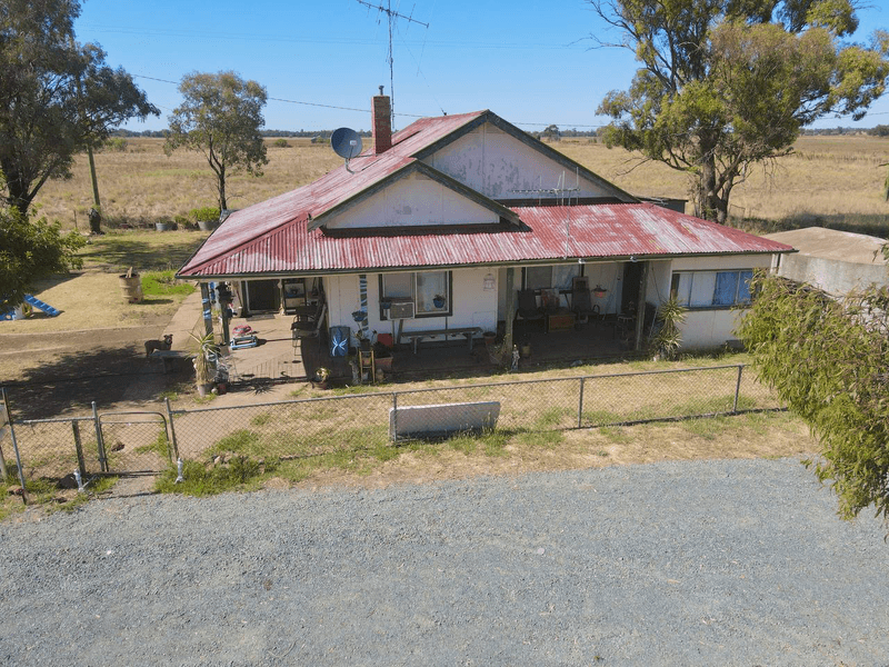 1435 Brolgan Road, NELUNGALOO, NSW 2876