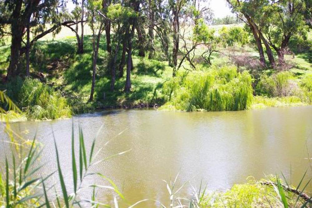 50 Gobolion Street, WELLINGTON, NSW 2820