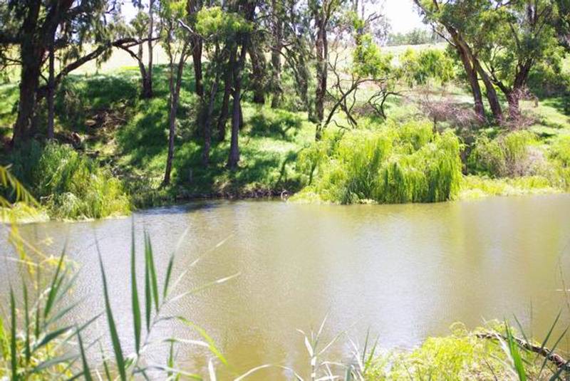 50 Gobolion Street, WELLINGTON, NSW 2820