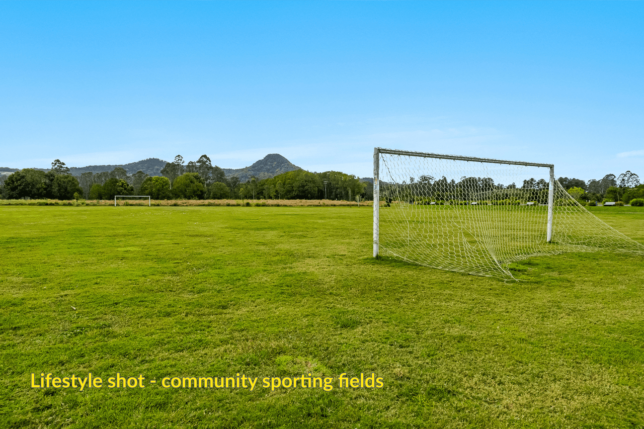 Lot 202 Tuckeroo Avenue, MULLUMBIMBY, NSW 2482