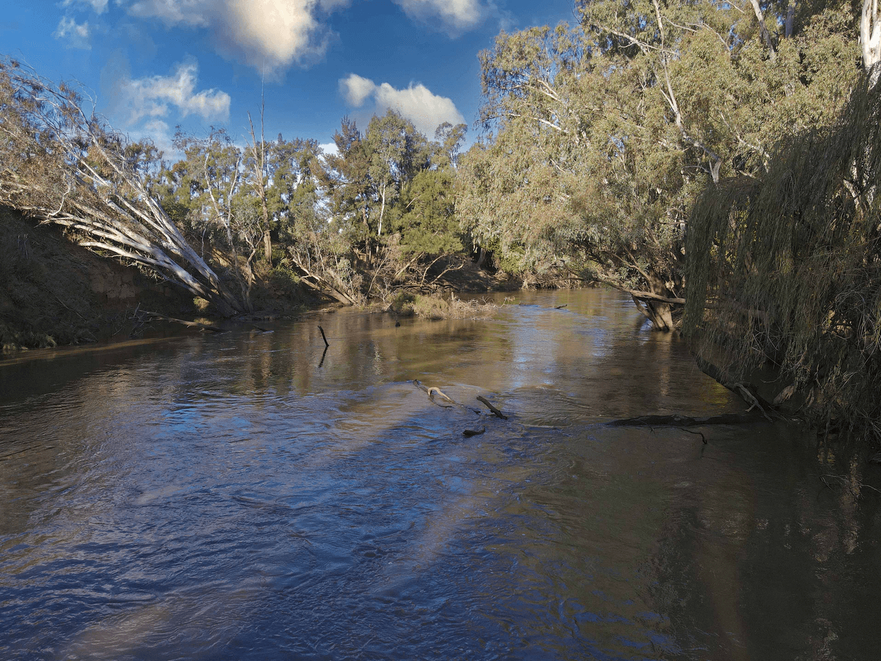 Warrul Road, FORBES, NSW 2871