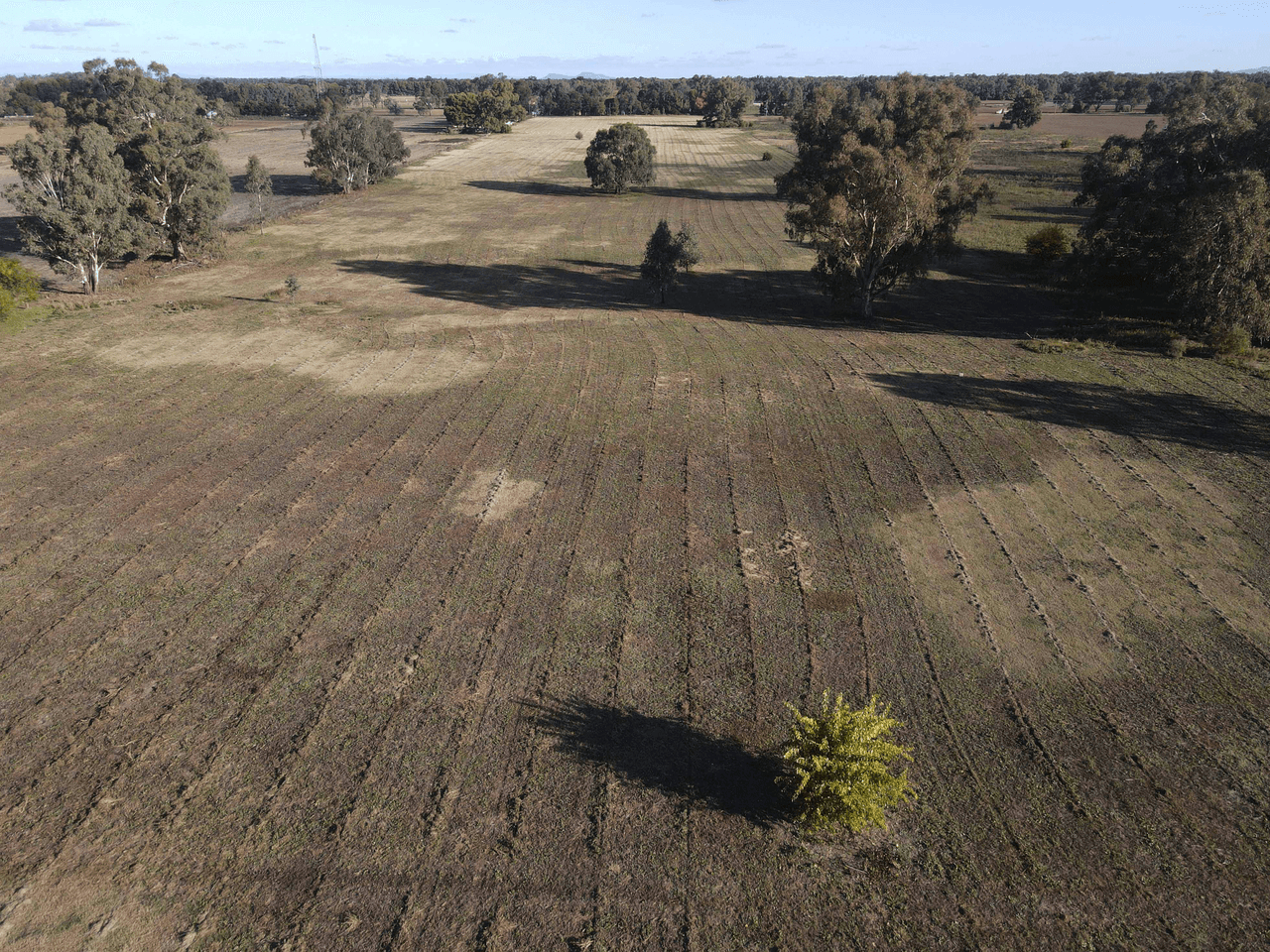 Warrul Road, FORBES, NSW 2871