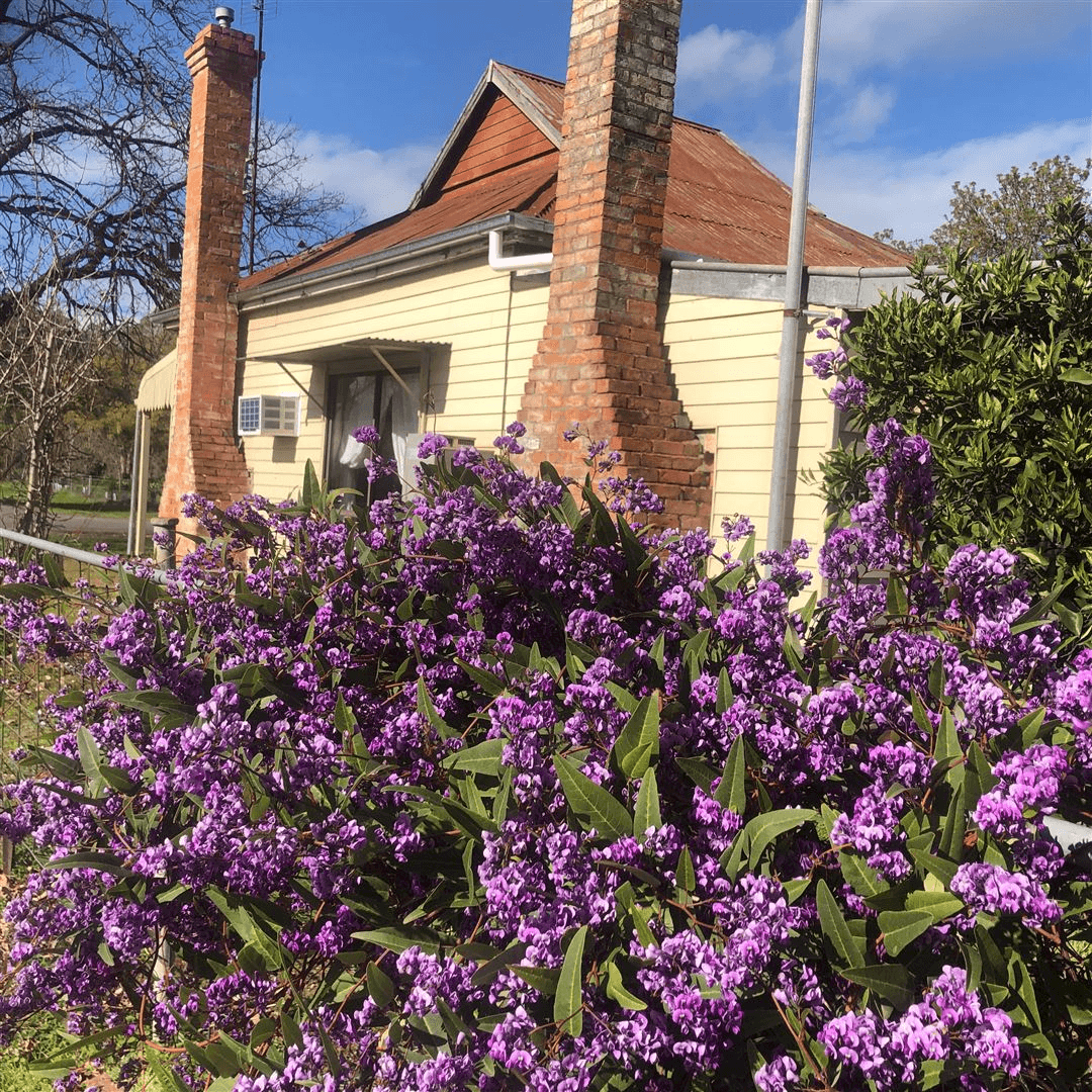 6 Williams Street, Euroa, VIC 3666