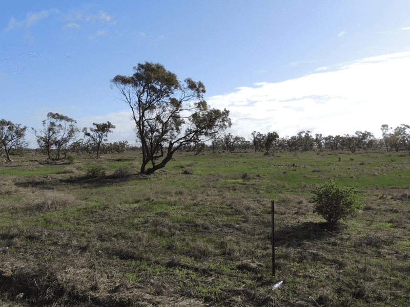 North West Chillingollah Road & Pompy Lane, WOORINEN NORTH, VIC 3589