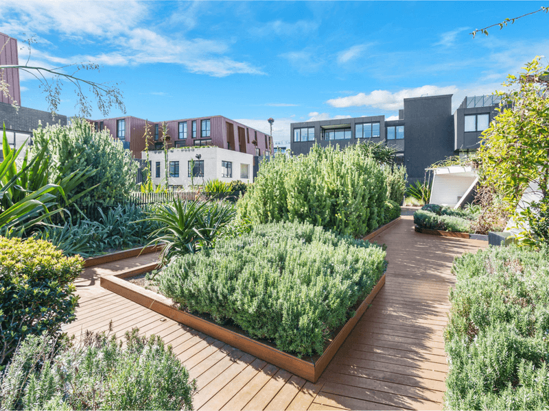 D501/72 Macdonald St, ERSKINEVILLE, NSW 2043