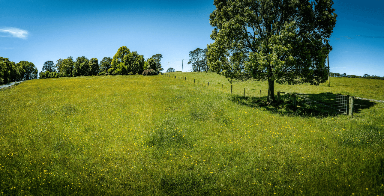 39 Summit Close, DORRIGO, NSW 2453