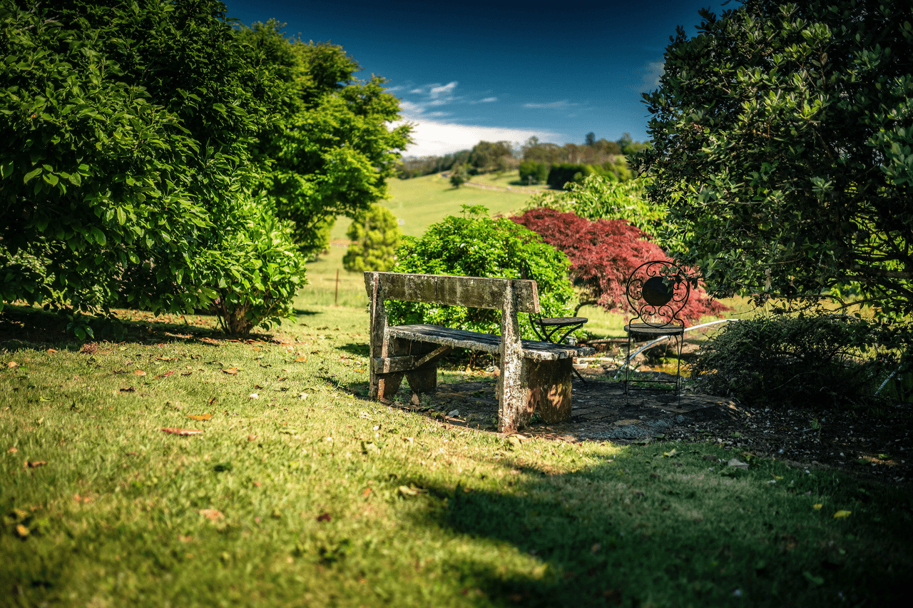 39 Summit Close, DORRIGO, NSW 2453