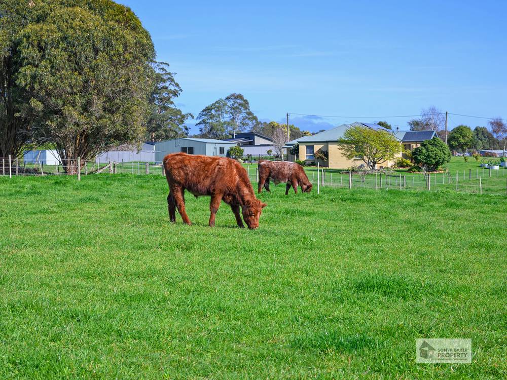 102 Oldina Road, WYNYARD, TAS 7325