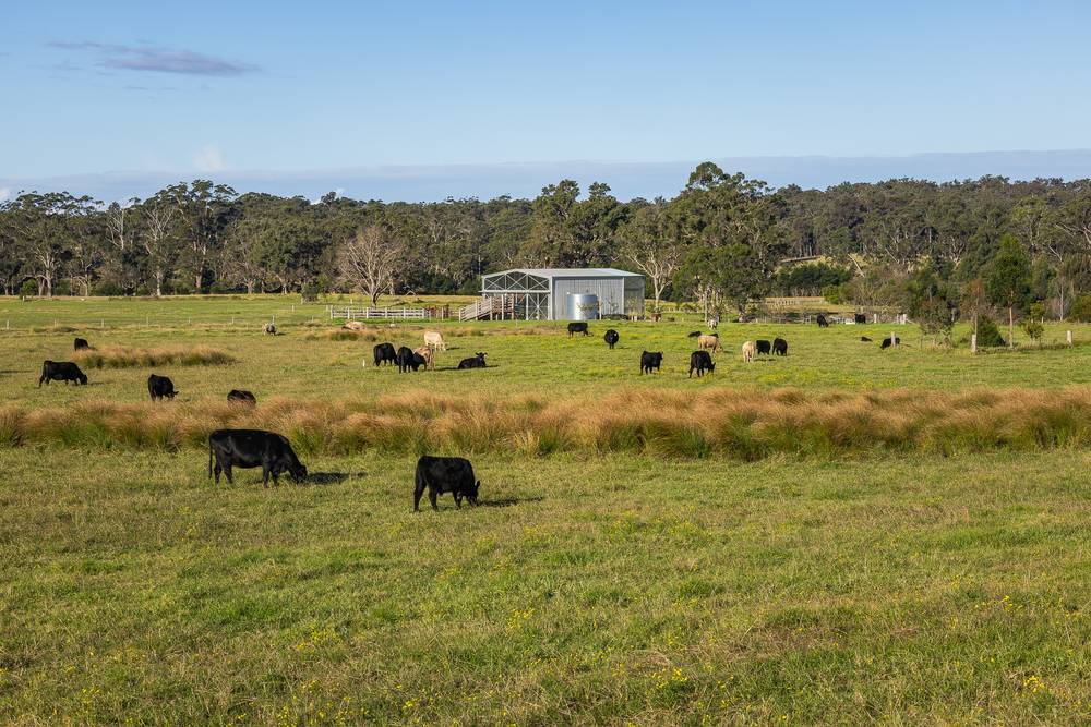 1170 Tathra-Bermagui Road, Tanja, NSW 2550