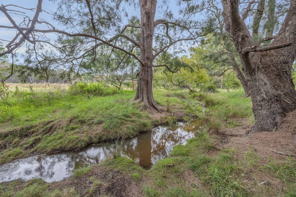1170 Tathra-Bermagui Road, Tanja, NSW 2550