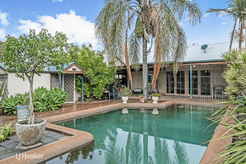 16 Rosetta Street, COLLINSWOOD, SA 5081