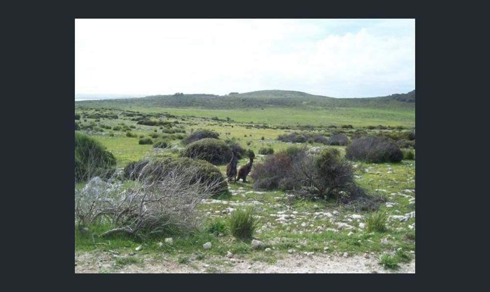 11 Cathers Road, PELICAN LAGOON, SA 5222