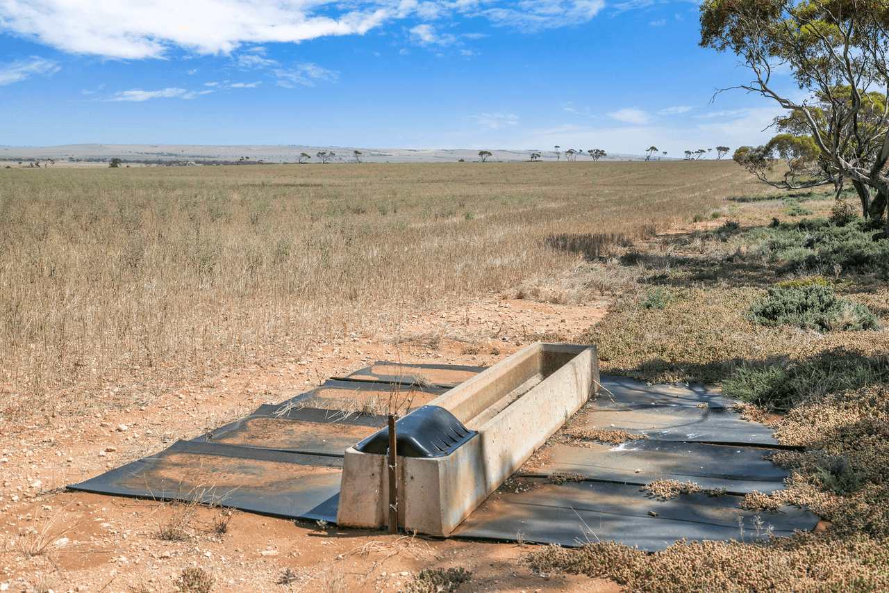 'Carslakes' Wheat Road, BEAUFORT, SA 5550