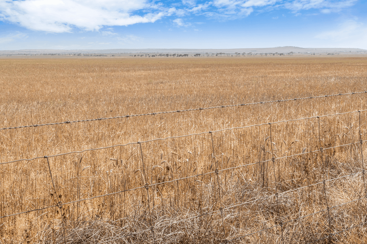 'Carslakes' Wheat Road, BEAUFORT, SA 5550