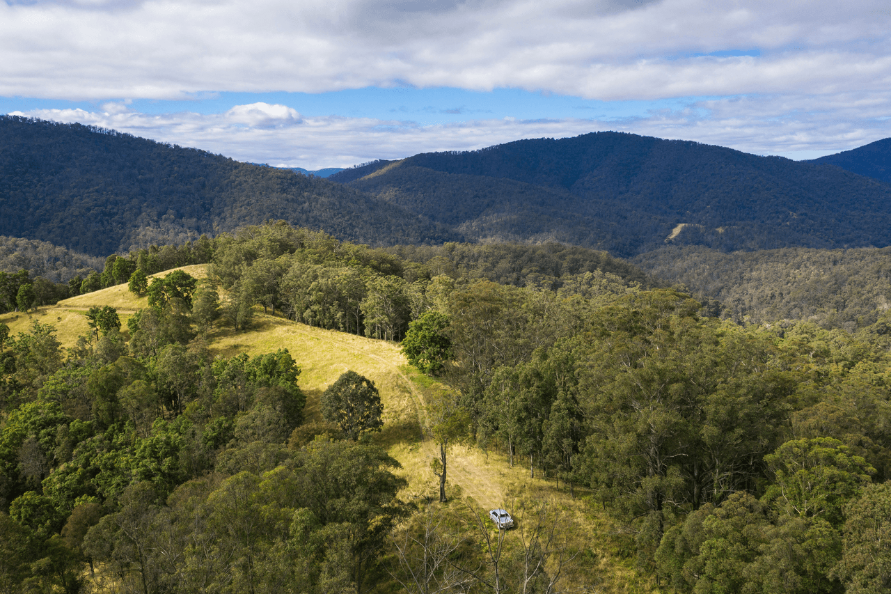 Lot 29 McPhersons Country Estate, Enfield Range Road, CELLS RIVER, NSW 2424