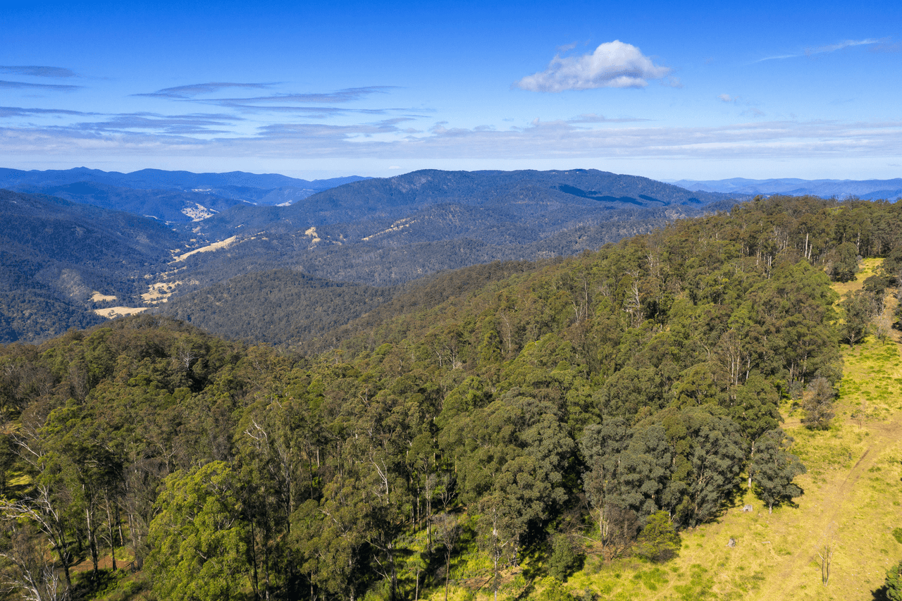 Lot 29 McPhersons Country Estate, Enfield Range Road, CELLS RIVER, NSW 2424