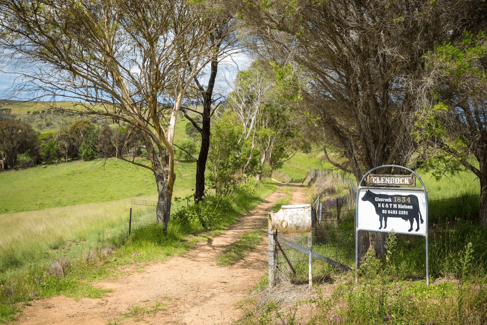 1834 Myrtle Mountain Road, Candelo, NSW 2550