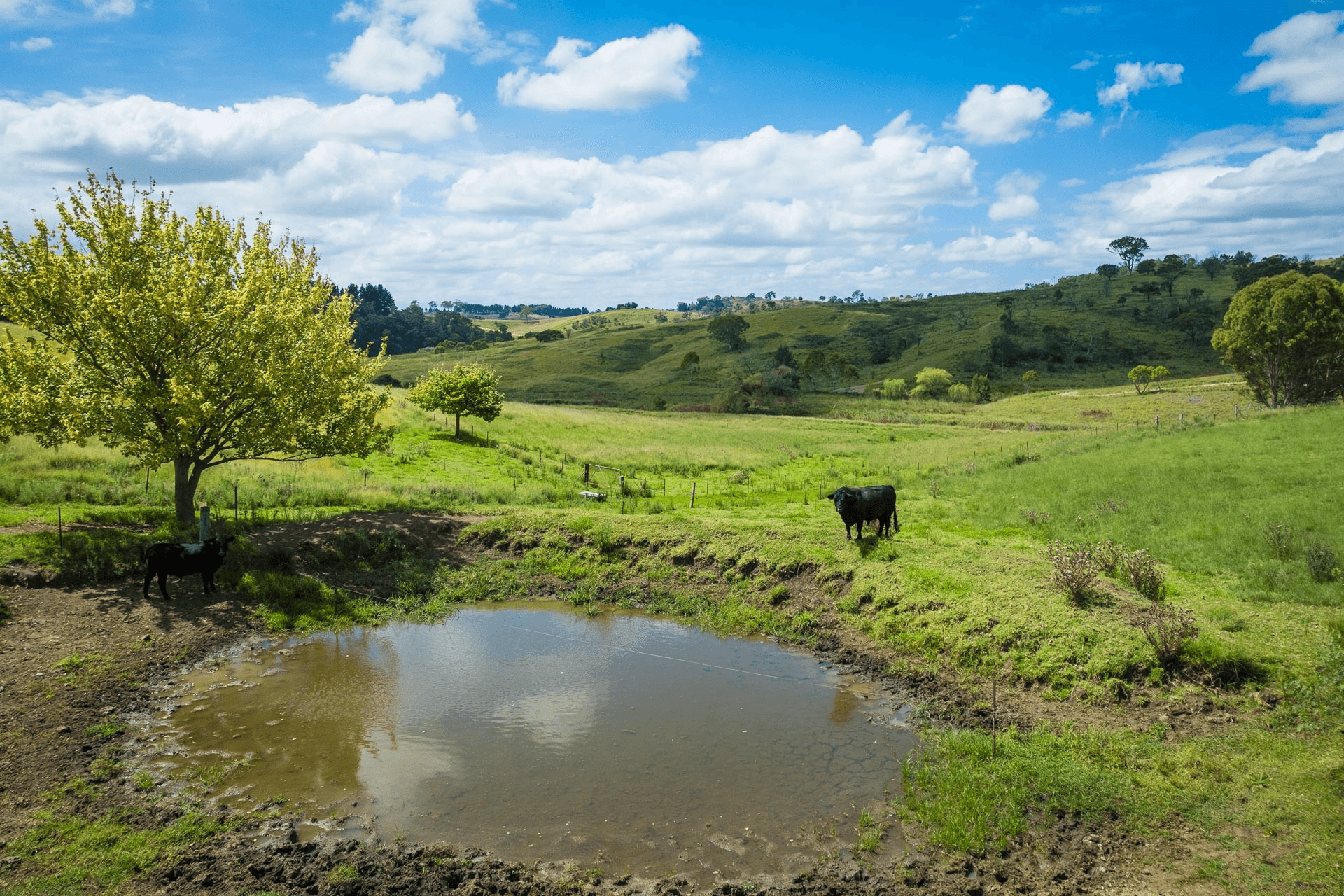 1834 Myrtle Mountain Road, Candelo, NSW 2550