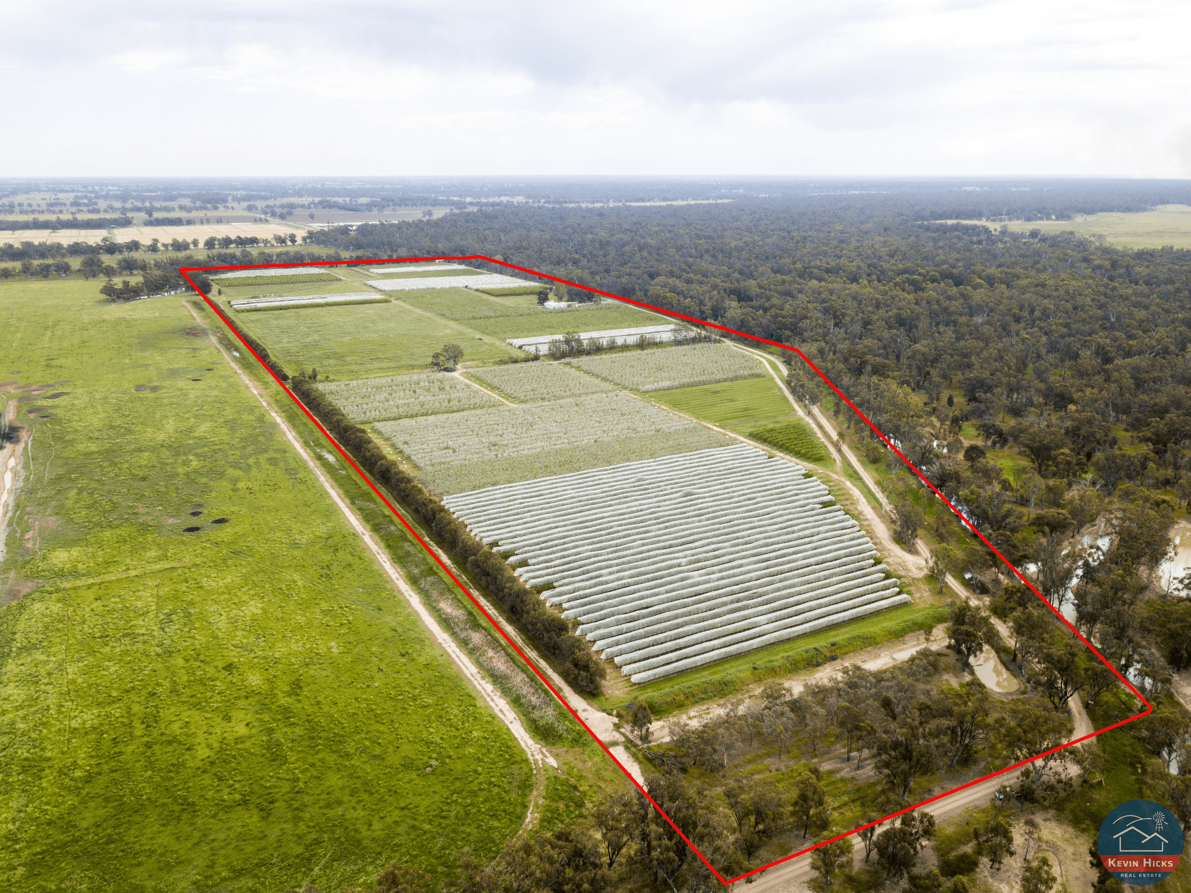91 & 805 Dougan Road, COOMBOONA, VIC 3629