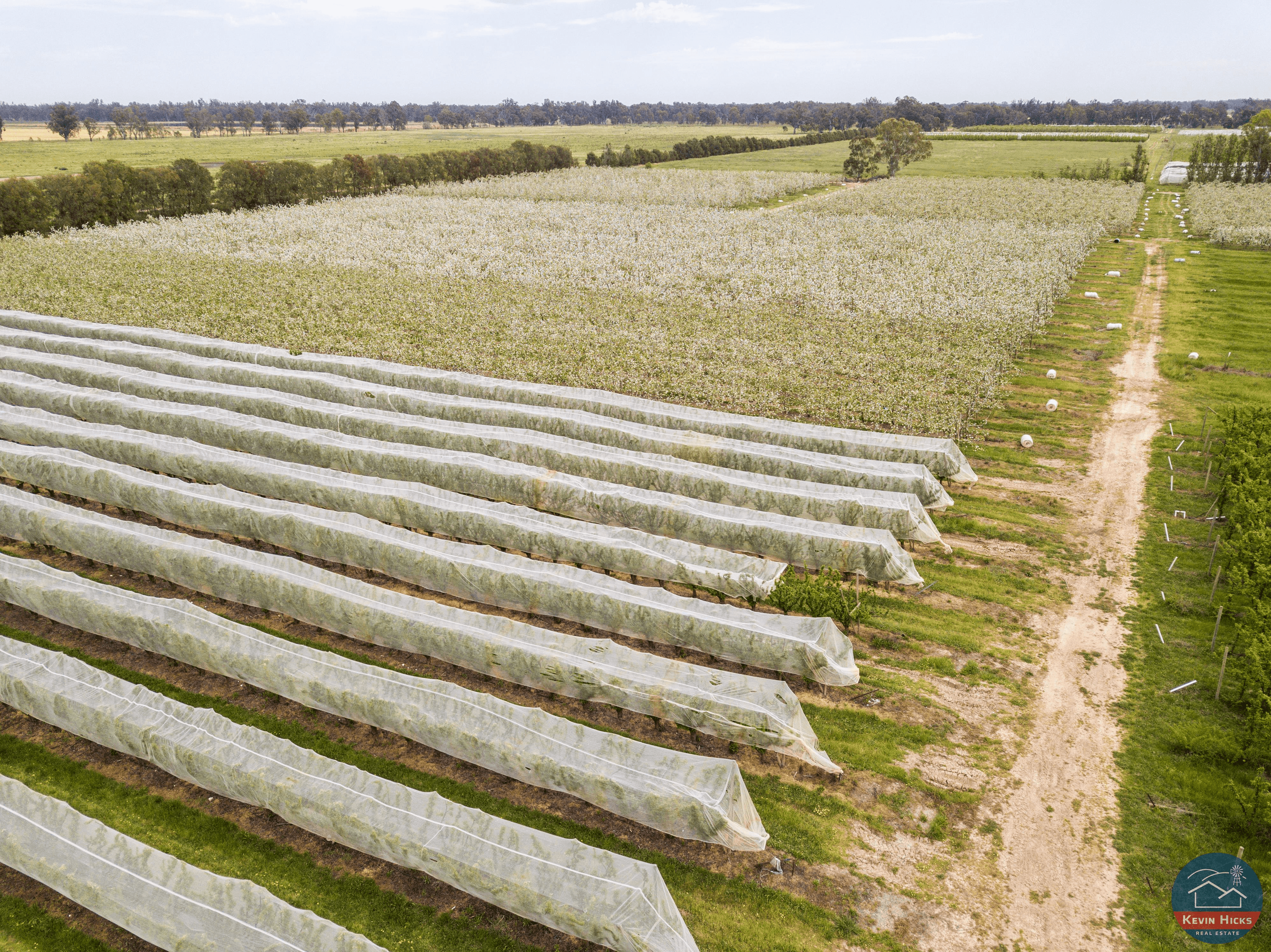 91 & 805 Dougan Road, COOMBOONA, VIC 3629