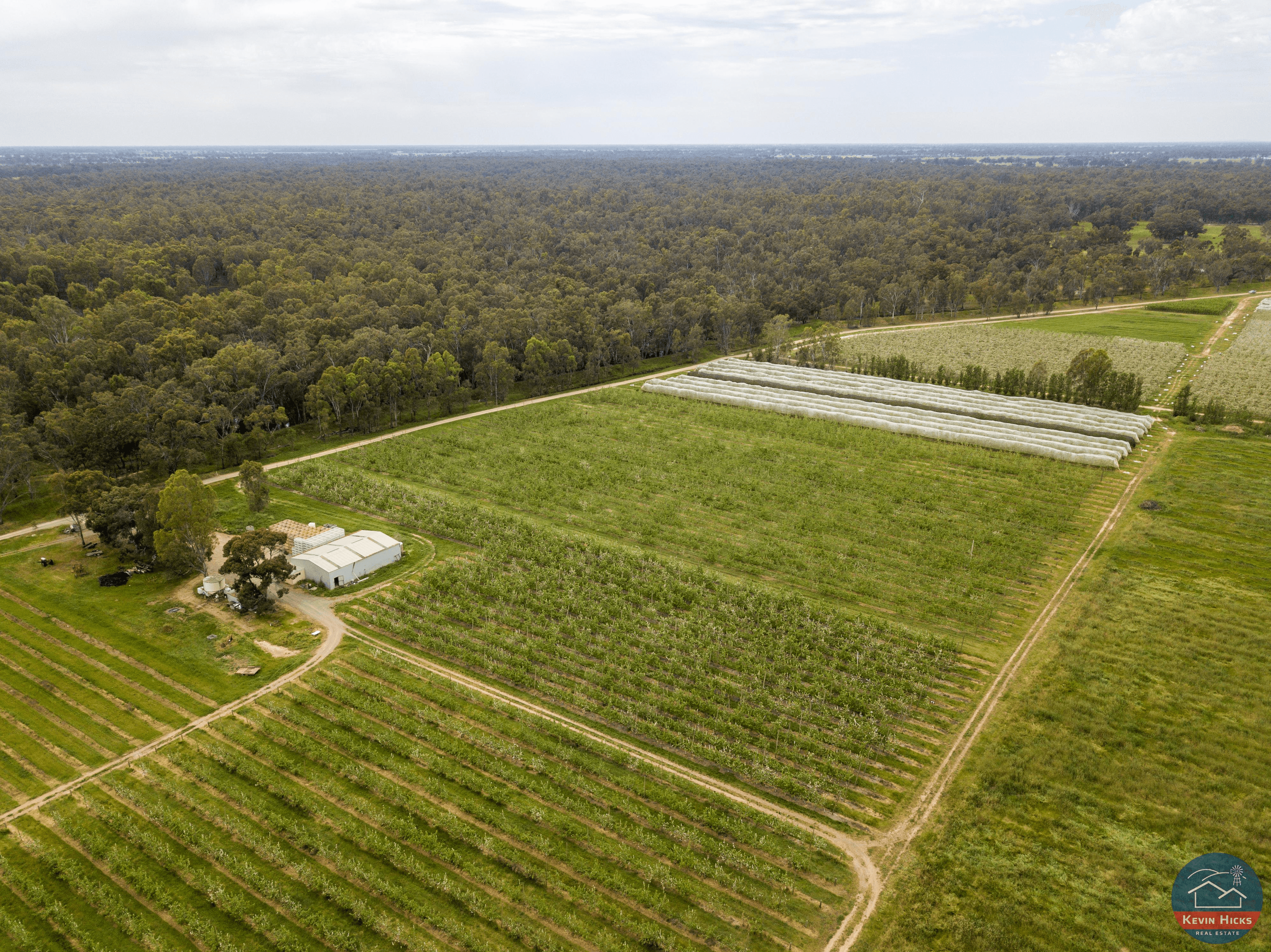 91 & 805 Dougan Road, COOMBOONA, VIC 3629