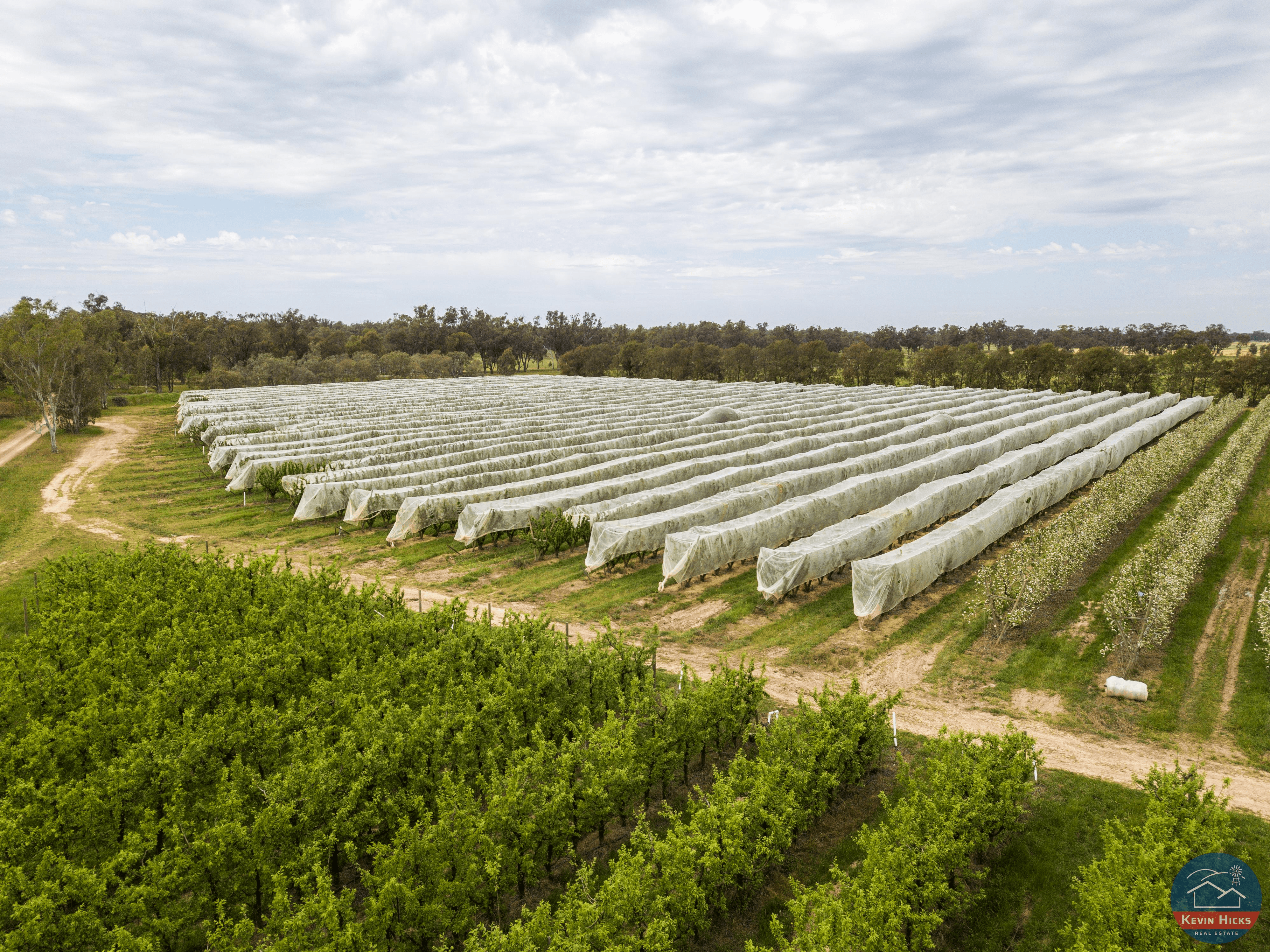 91 & 805 Dougan Road, COOMBOONA, VIC 3629