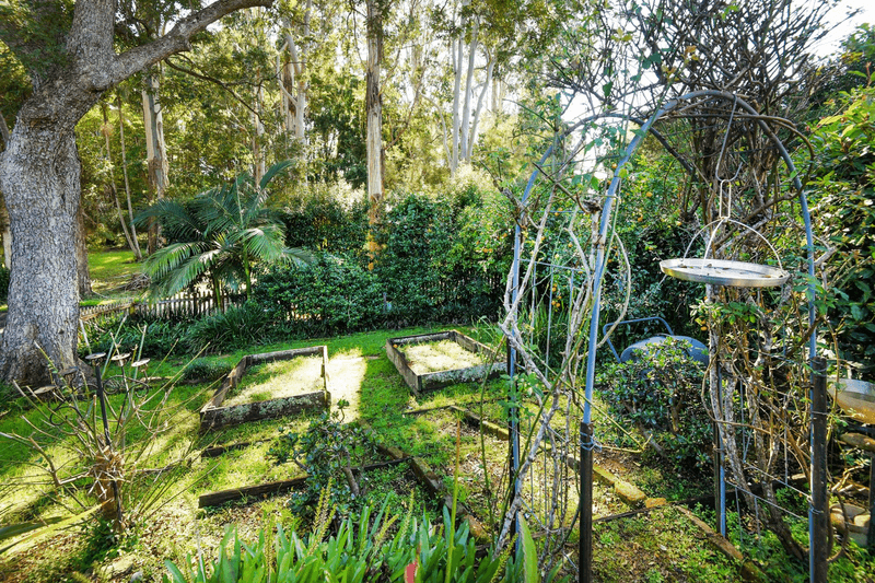 1 Park Street, BELLINGEN, NSW 2454