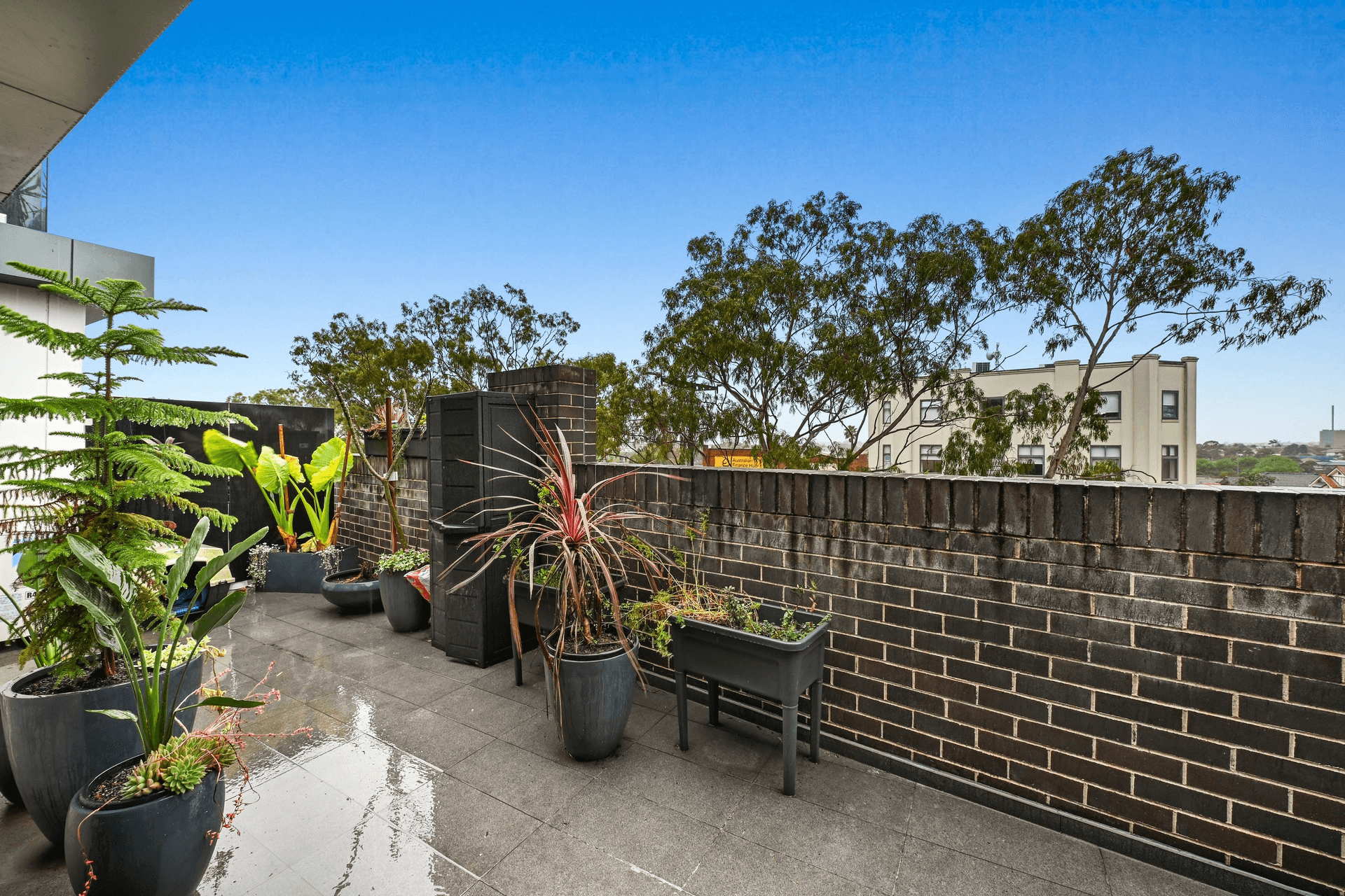 25/64 Majors Bay Road, Concord, NSW 2137