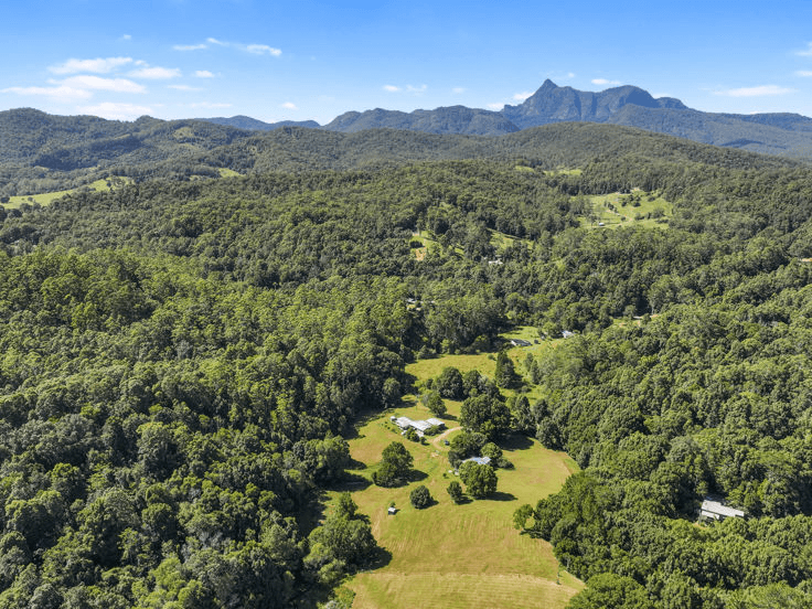 402 Zara Road, ZARA, NSW 2484