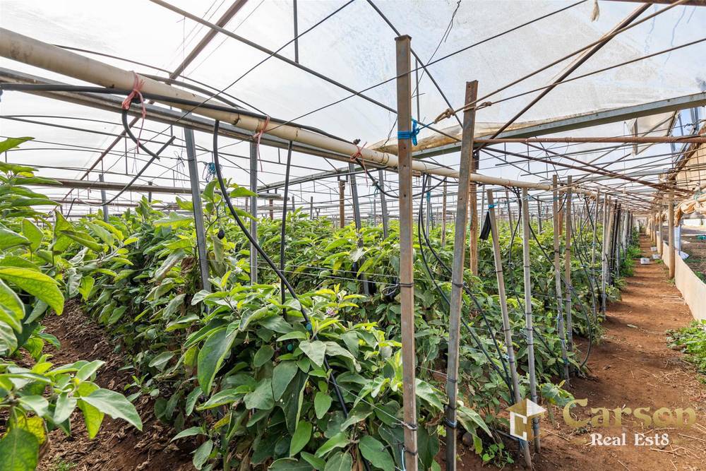 123 McEvoy Road, Waterloo Corner, SA 5110