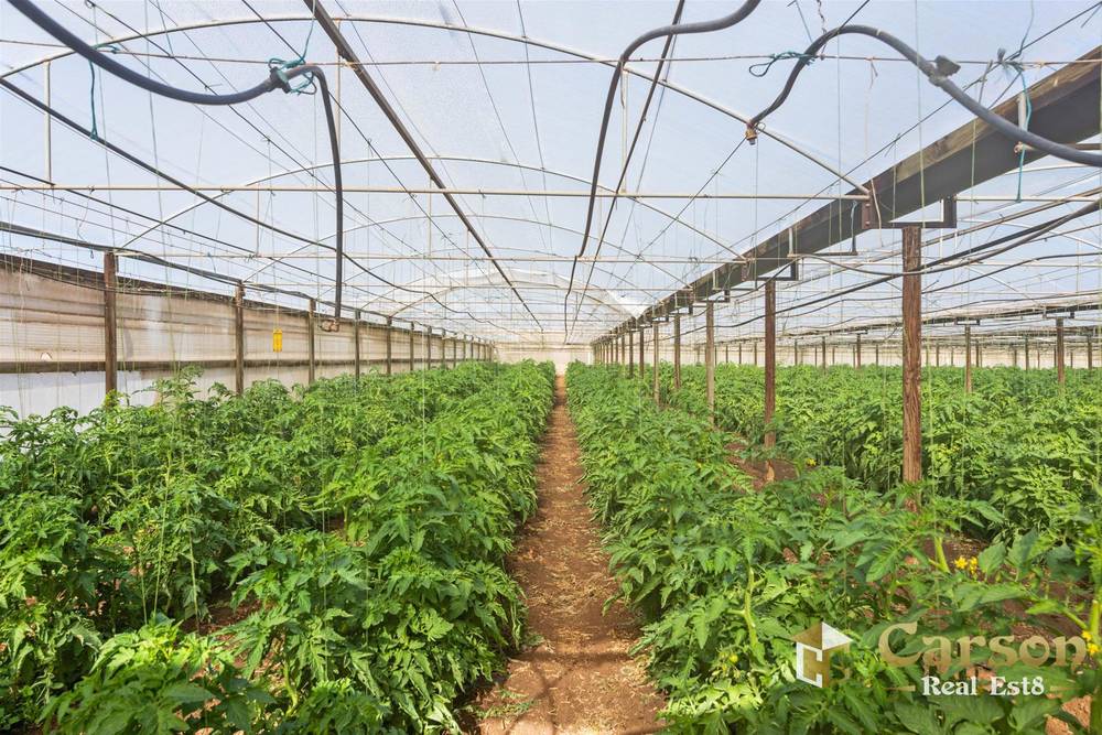 123 McEvoy Road, Waterloo Corner, SA 5110