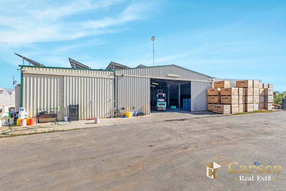 123 McEvoy Road, Waterloo Corner, SA 5110