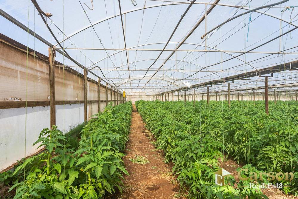 123 McEvoy Road, Waterloo Corner, SA 5110