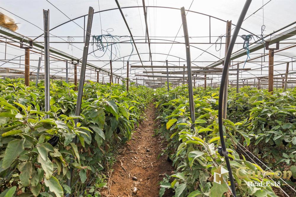 123 McEvoy Road, Waterloo Corner, SA 5110