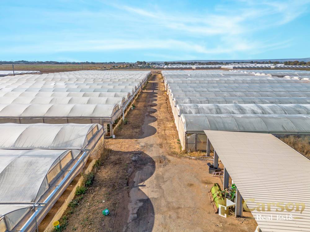 123 McEvoy Road, Waterloo Corner, SA 5110