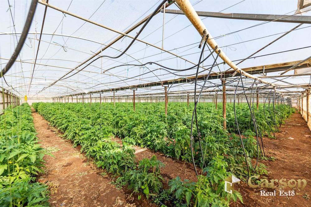 123 McEvoy Road, Waterloo Corner, SA 5110