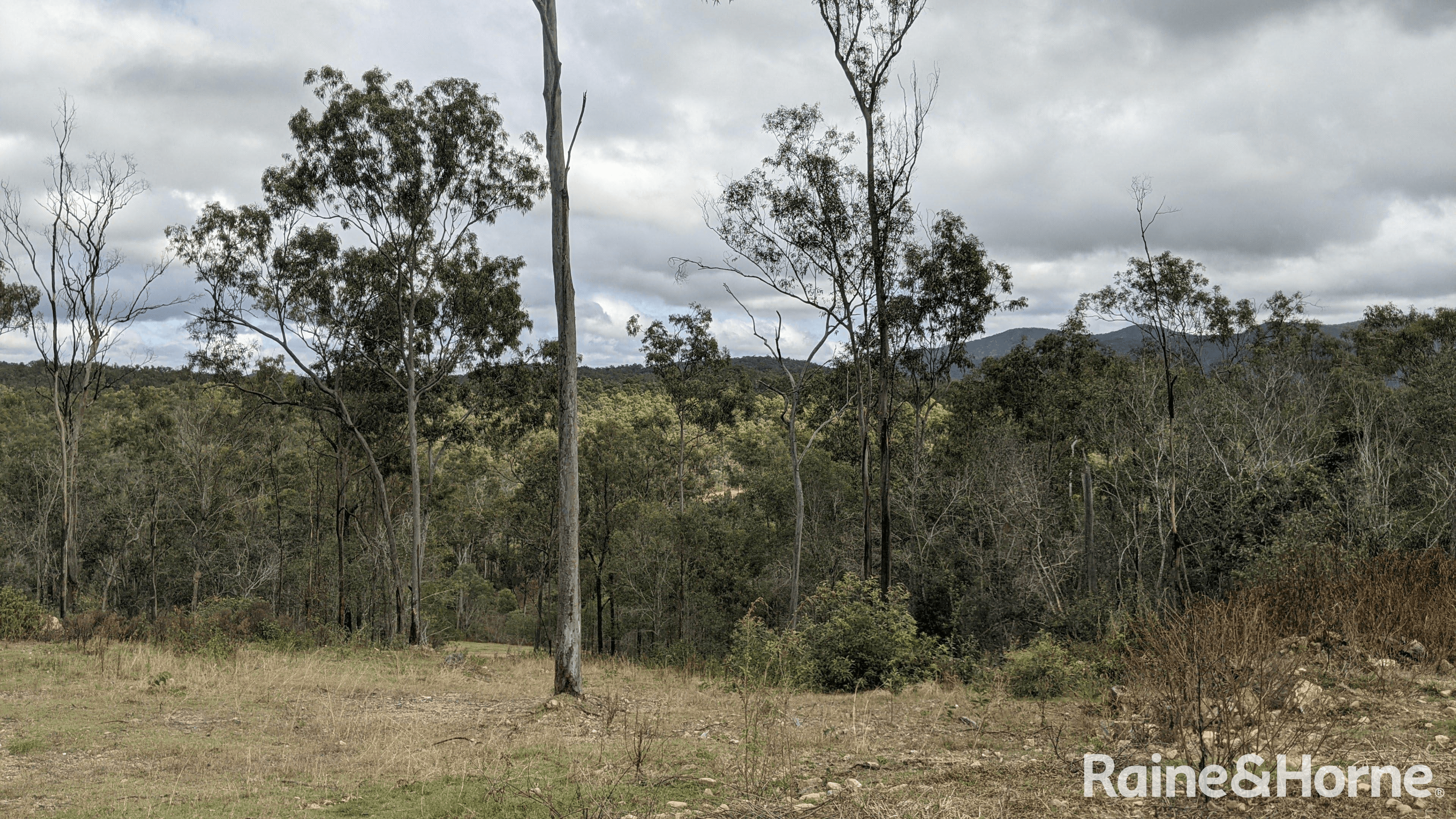 Lot 38 Tenningering Road, GOOD NIGHT, QLD 4671