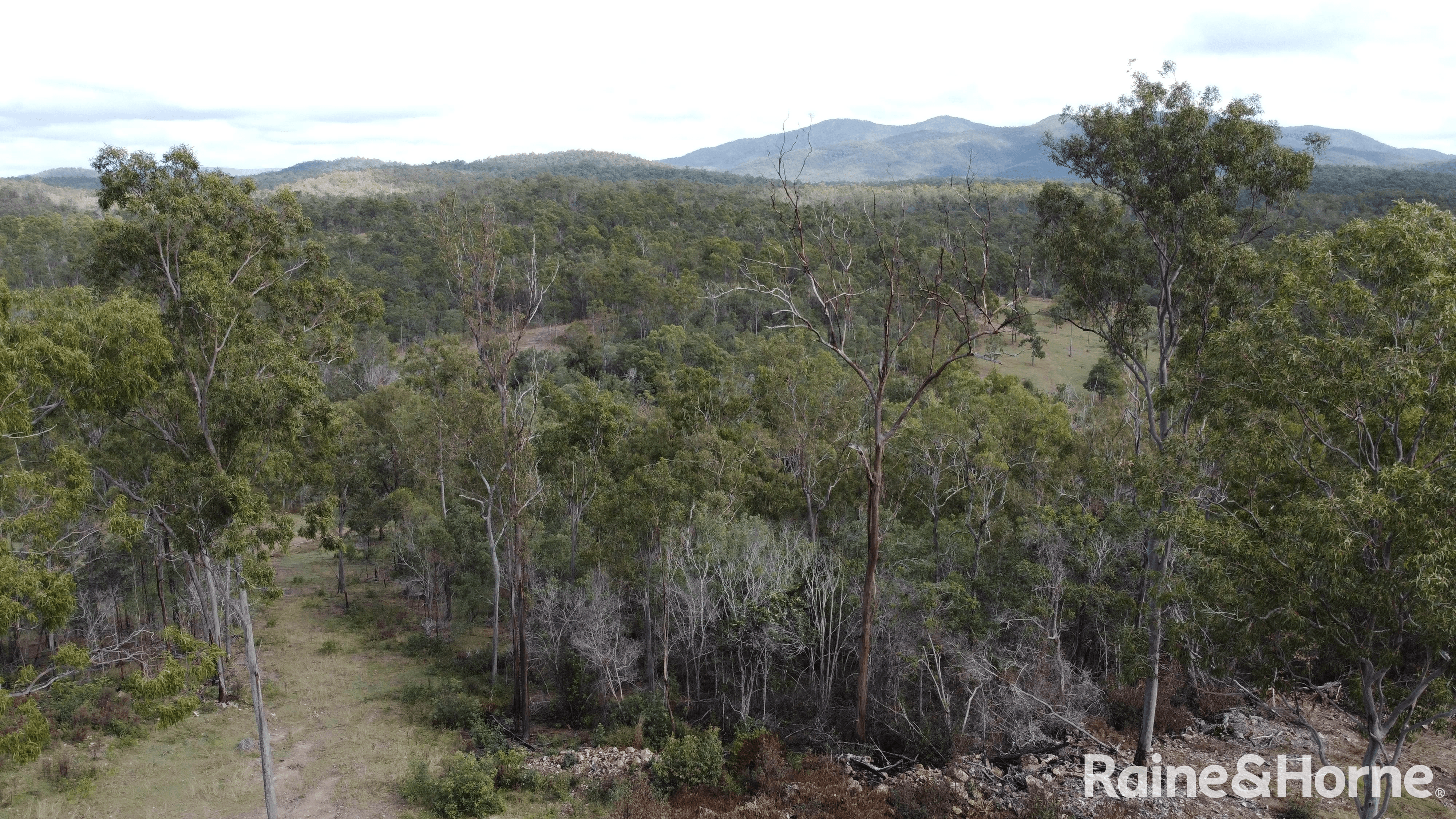 Lot 38 Tenningering Road, GOOD NIGHT, QLD 4671