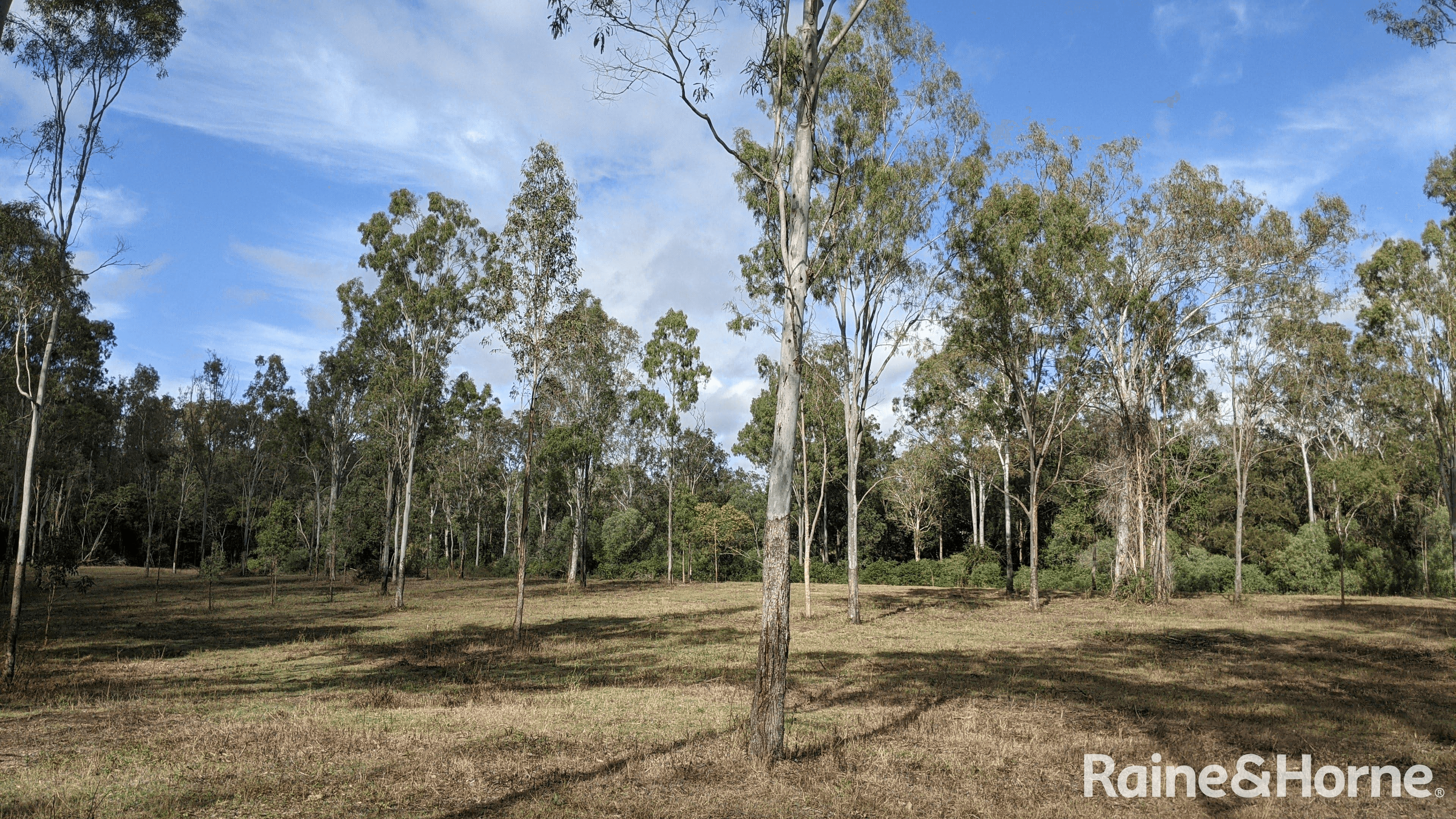 Lot 38 Tenningering Road, GOOD NIGHT, QLD 4671
