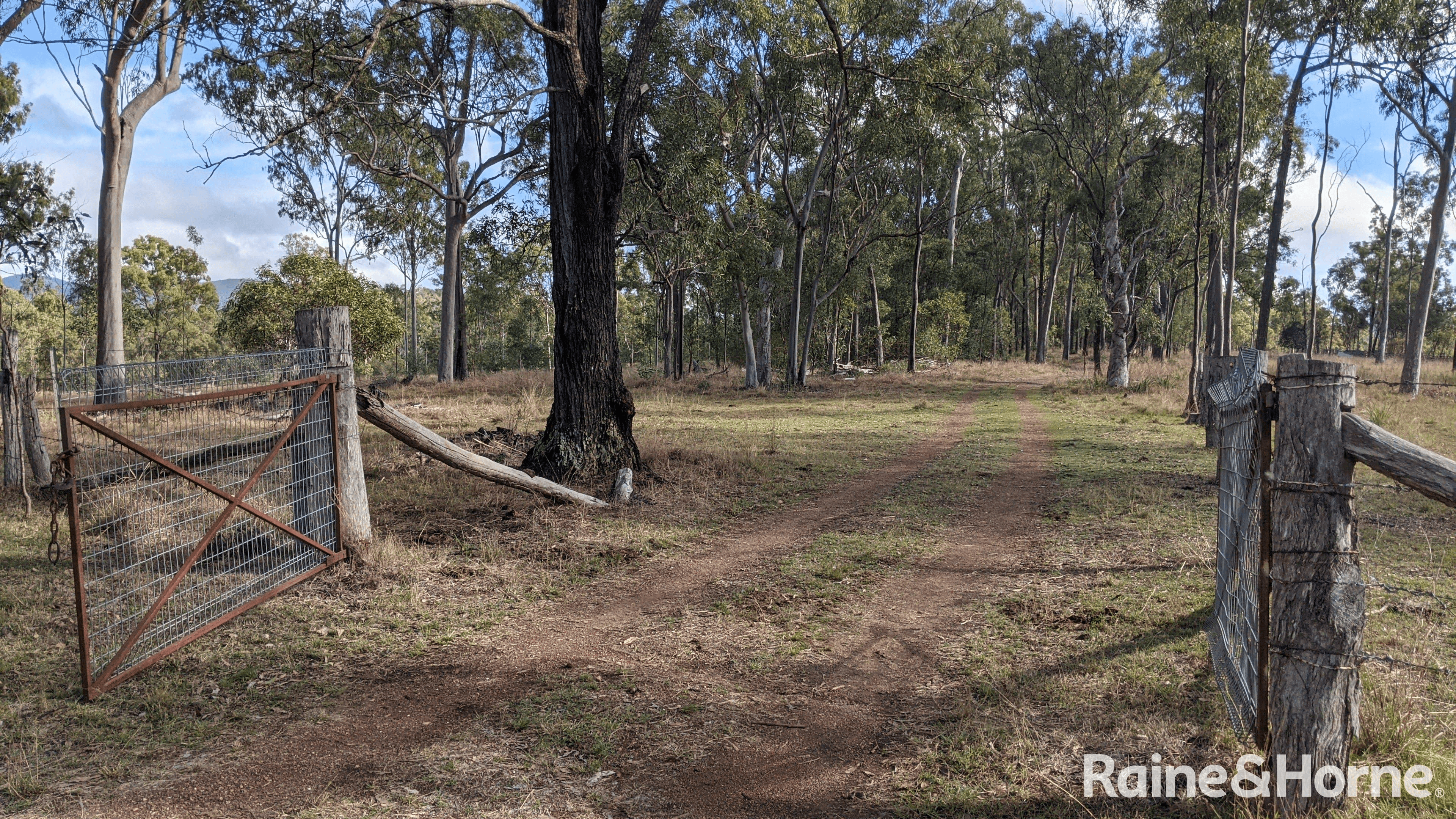 Lot 38 Tenningering Road, GOOD NIGHT, QLD 4671