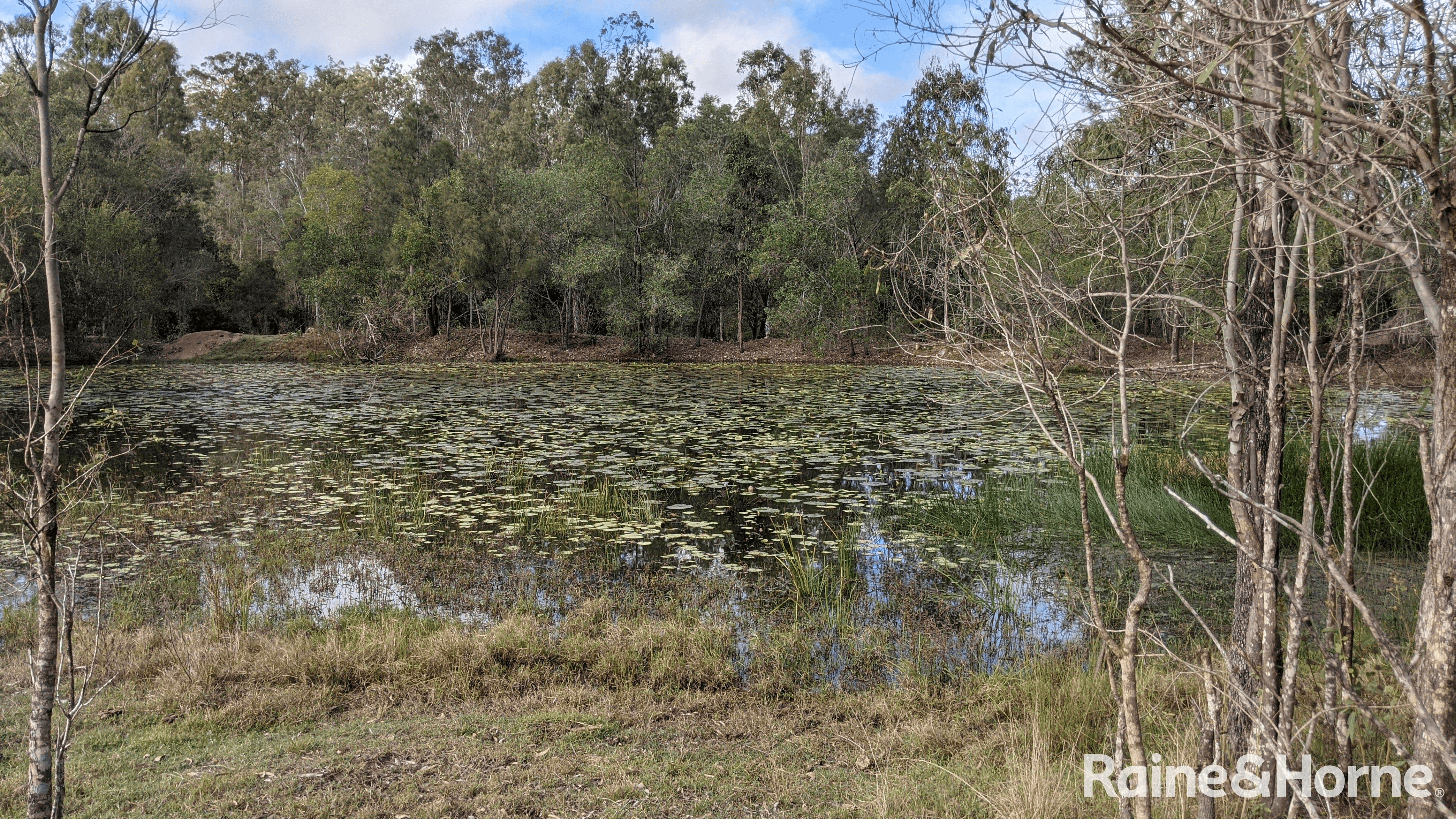 Lot 38 Tenningering Road, GOOD NIGHT, QLD 4671