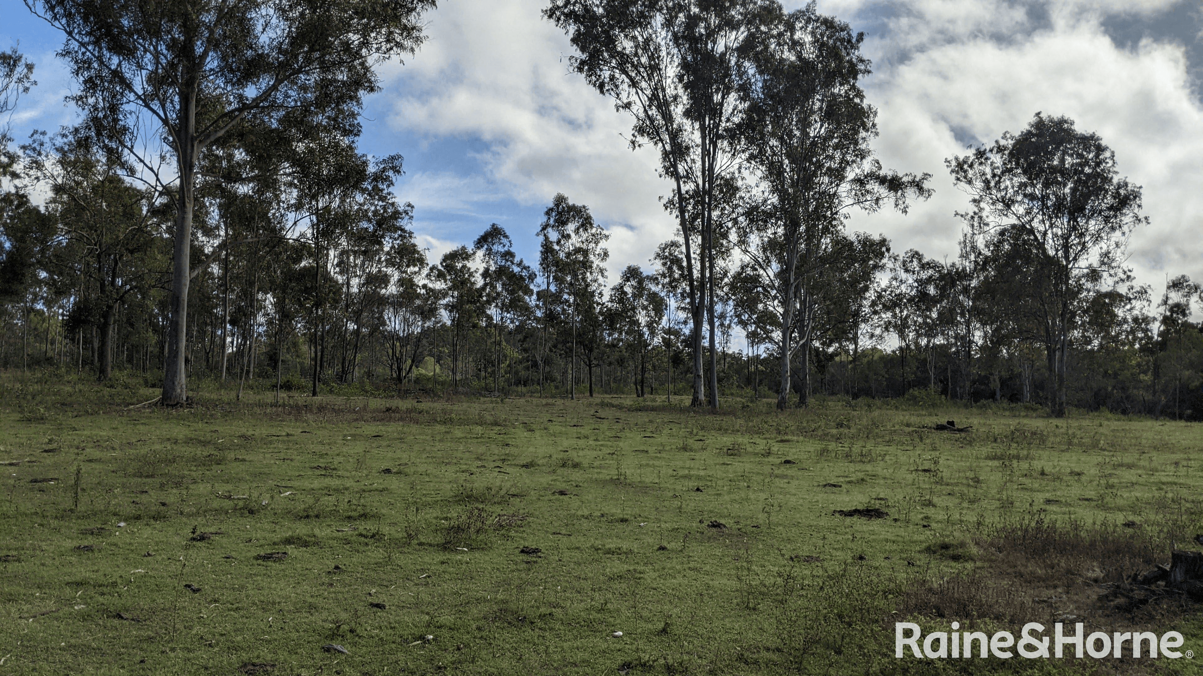 Lot 38 Tenningering Road, GOOD NIGHT, QLD 4671